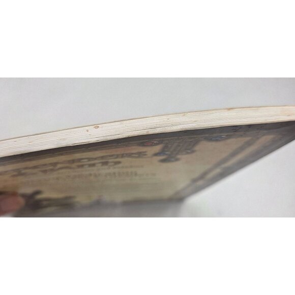 Dungeons & Dragons Defenders Of The Faith Guidebook To Clerics & Paladins 2001 - Picture 3 of 8